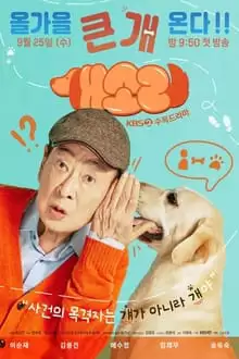 Chú Chó Biết Tuốt | Dog Knows Everything (2024)