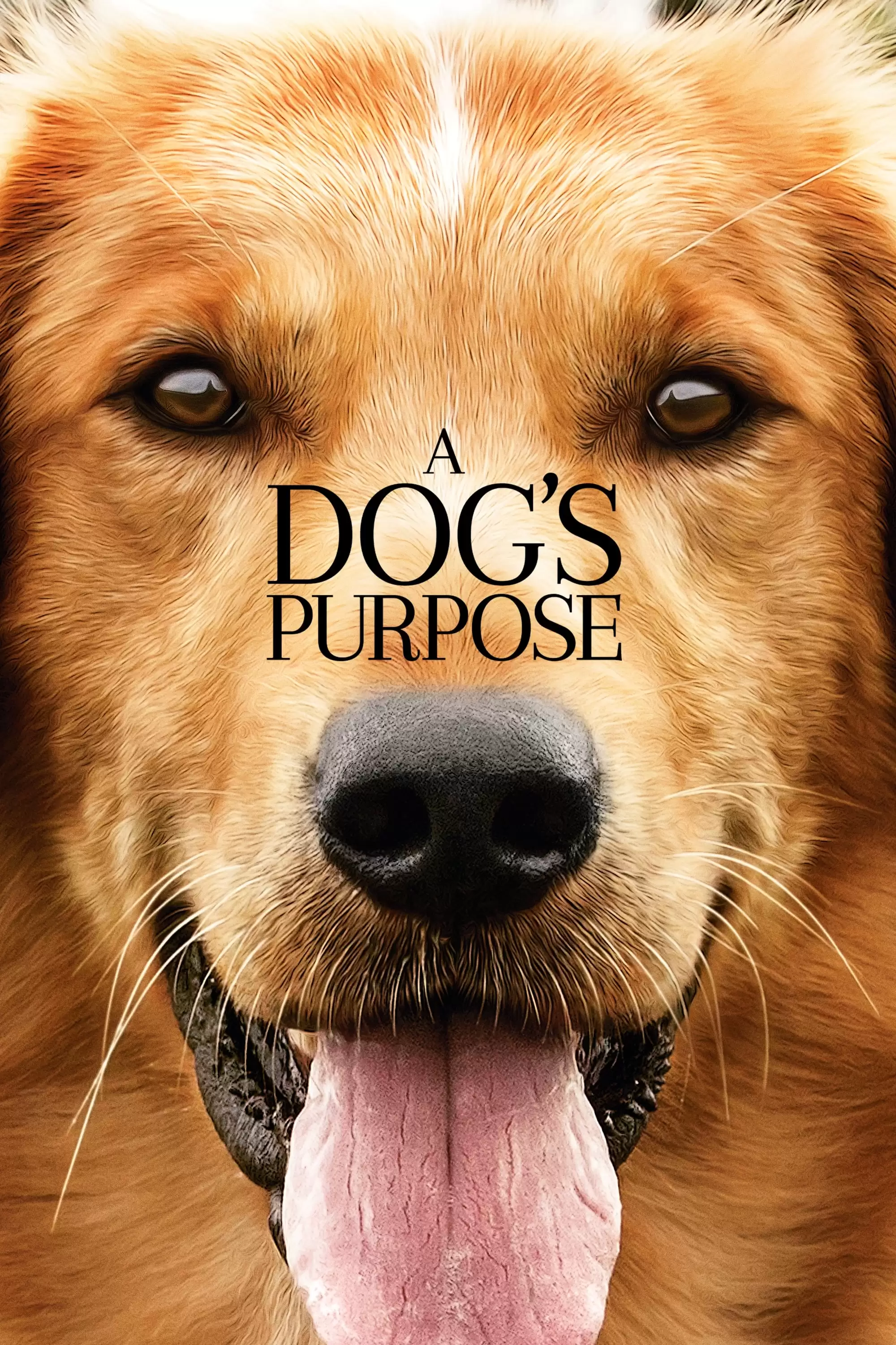 Mục Đích Sống Của Một Chú Chó | A Dog's Purpose (2017)