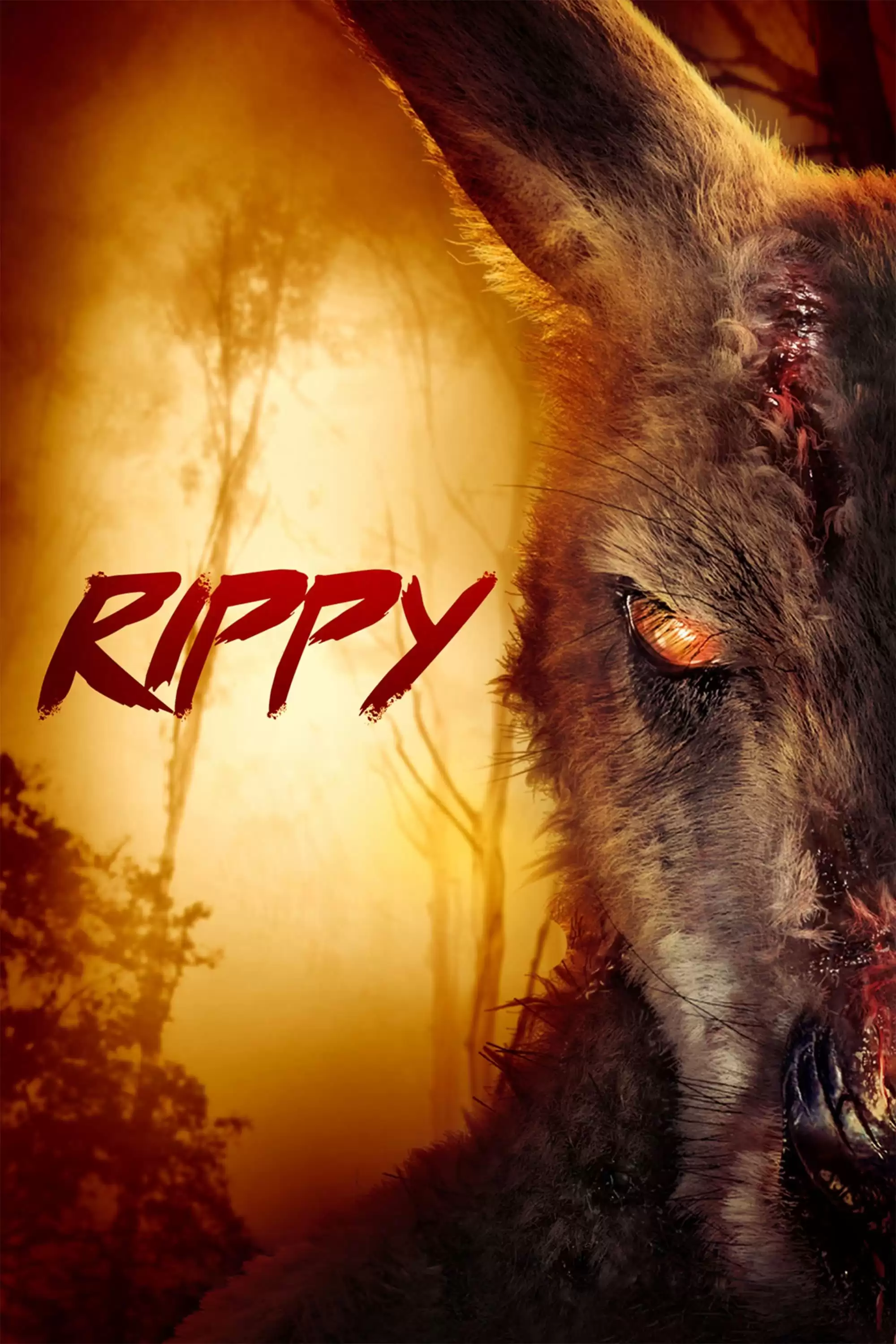 Rippy | Rippy (2024)