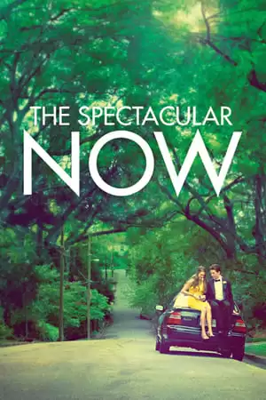 Thực Tại Hoàn Mỹ | The Spectacular Now (2013)